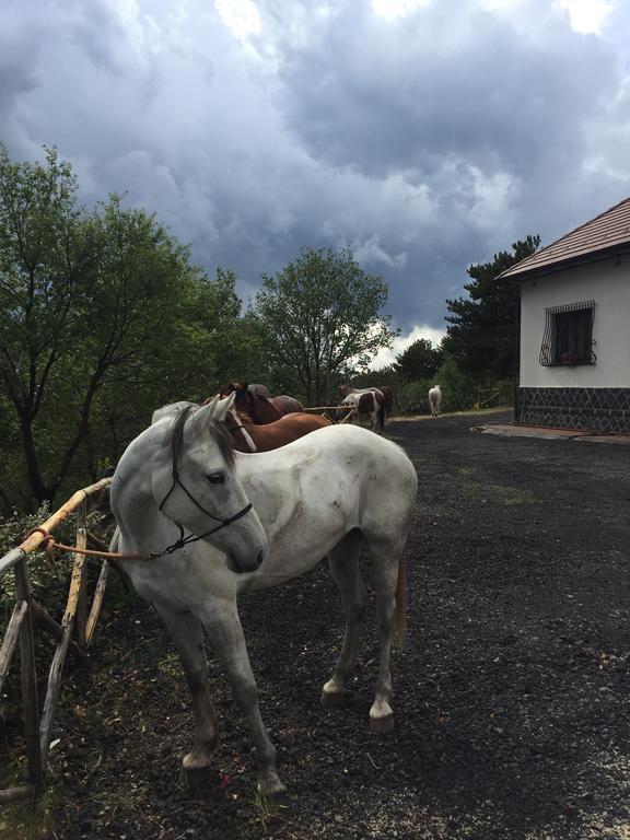 Hotel Villa Dorata Nicolosi Kültér fotó